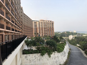 2492-1.jpg